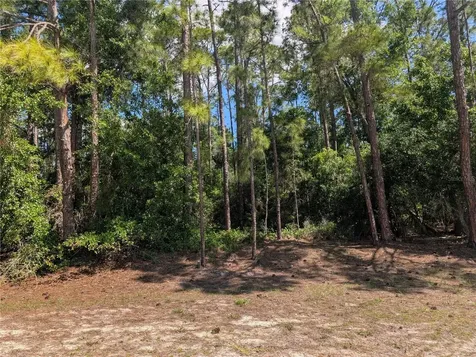 1114 Plumosa Drive Indian Lake Estates FL 33855