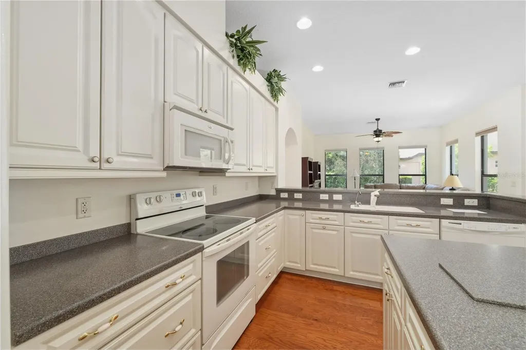 8061 Waterbury Way Mount Dora FL 32757