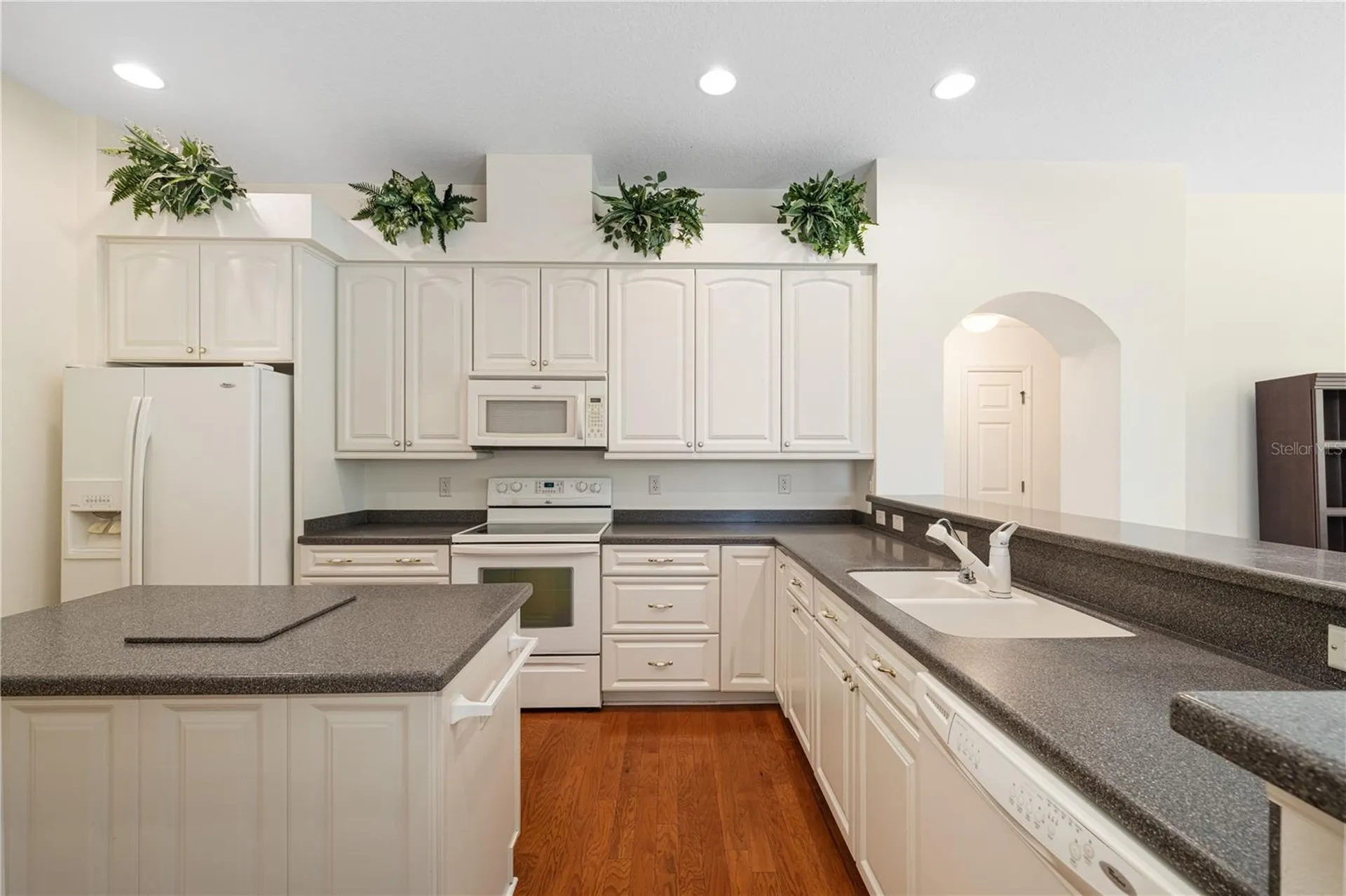 8061 Waterbury Way Mount Dora FL 32757