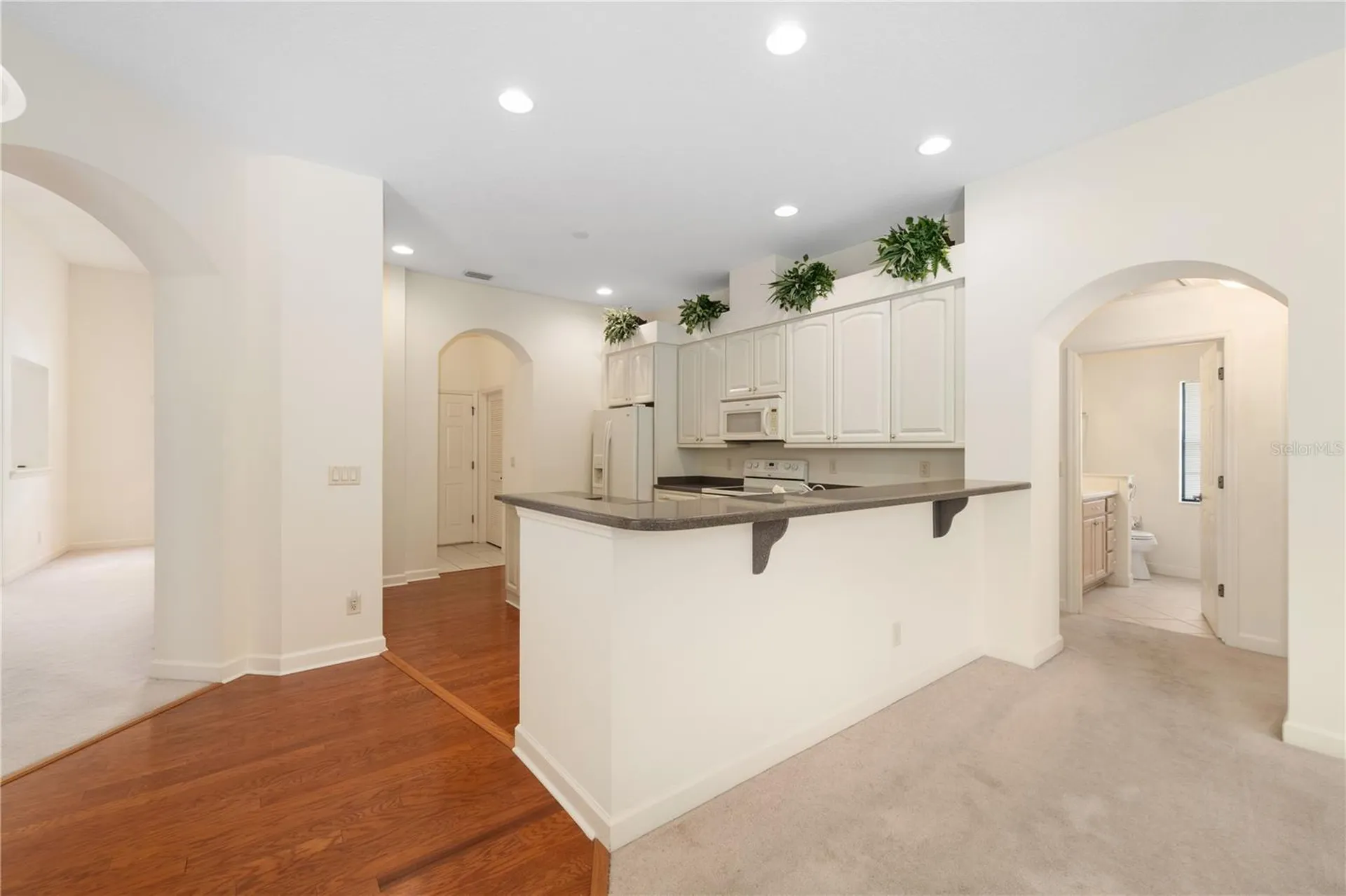 8061 Waterbury Way Mount Dora FL 32757