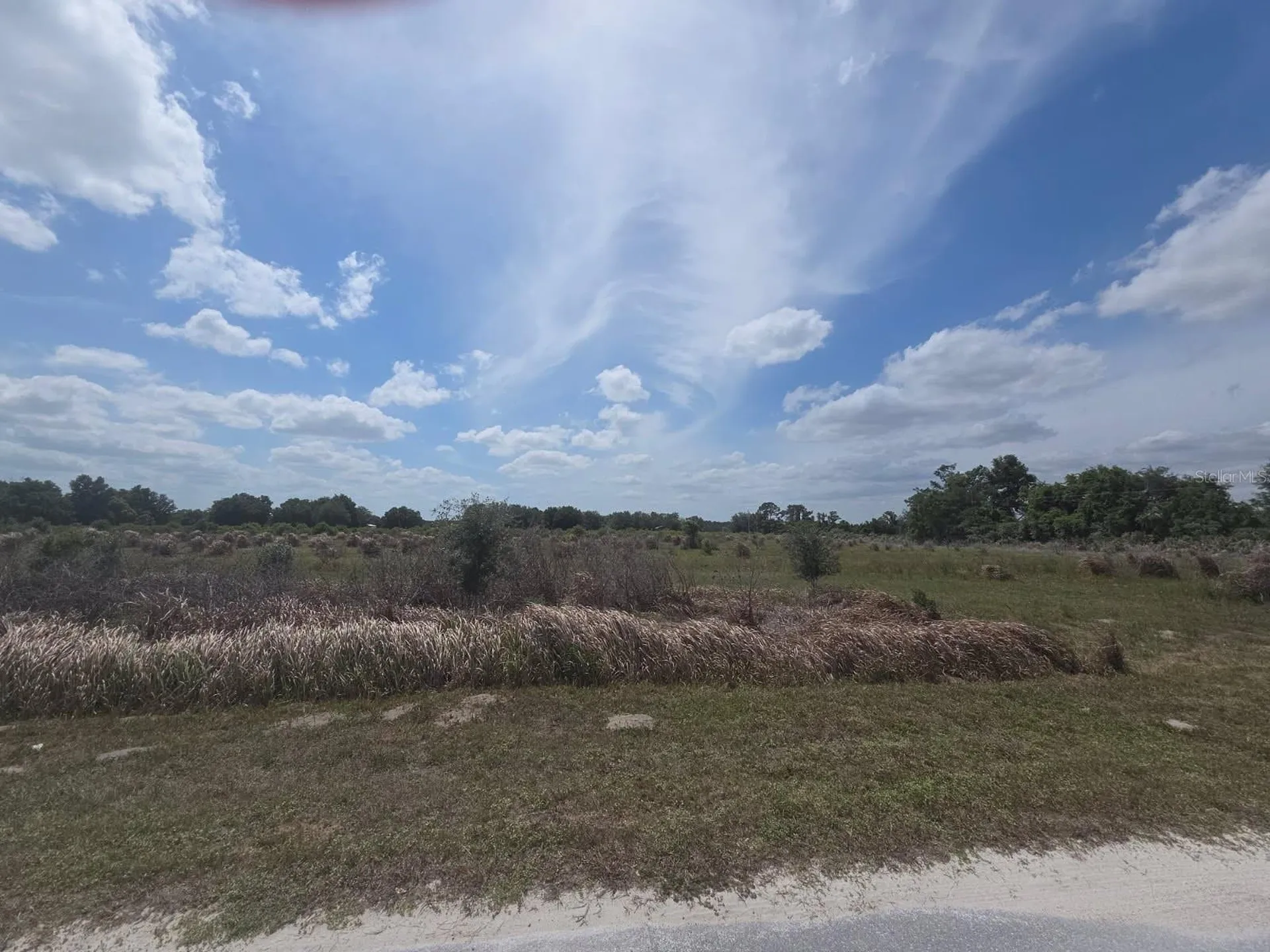 0 0 Artifact Drive Zephyrhills FL 33541