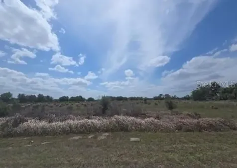 0 0 Artifact Drive Zephyrhills FL 33541