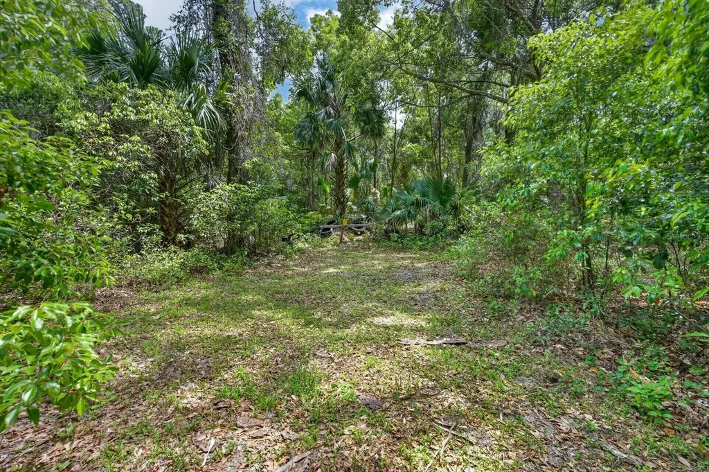 1806 Glenwood Oaks Lane Deland FL 32720