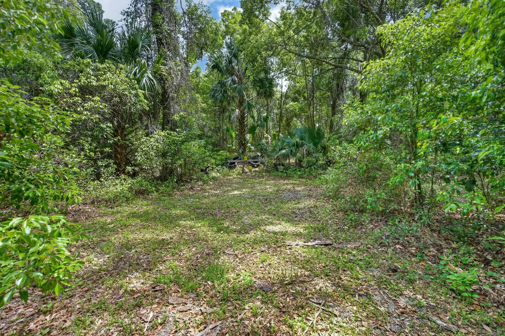 1806 Glenwood Oaks Lane Deland FL 32720