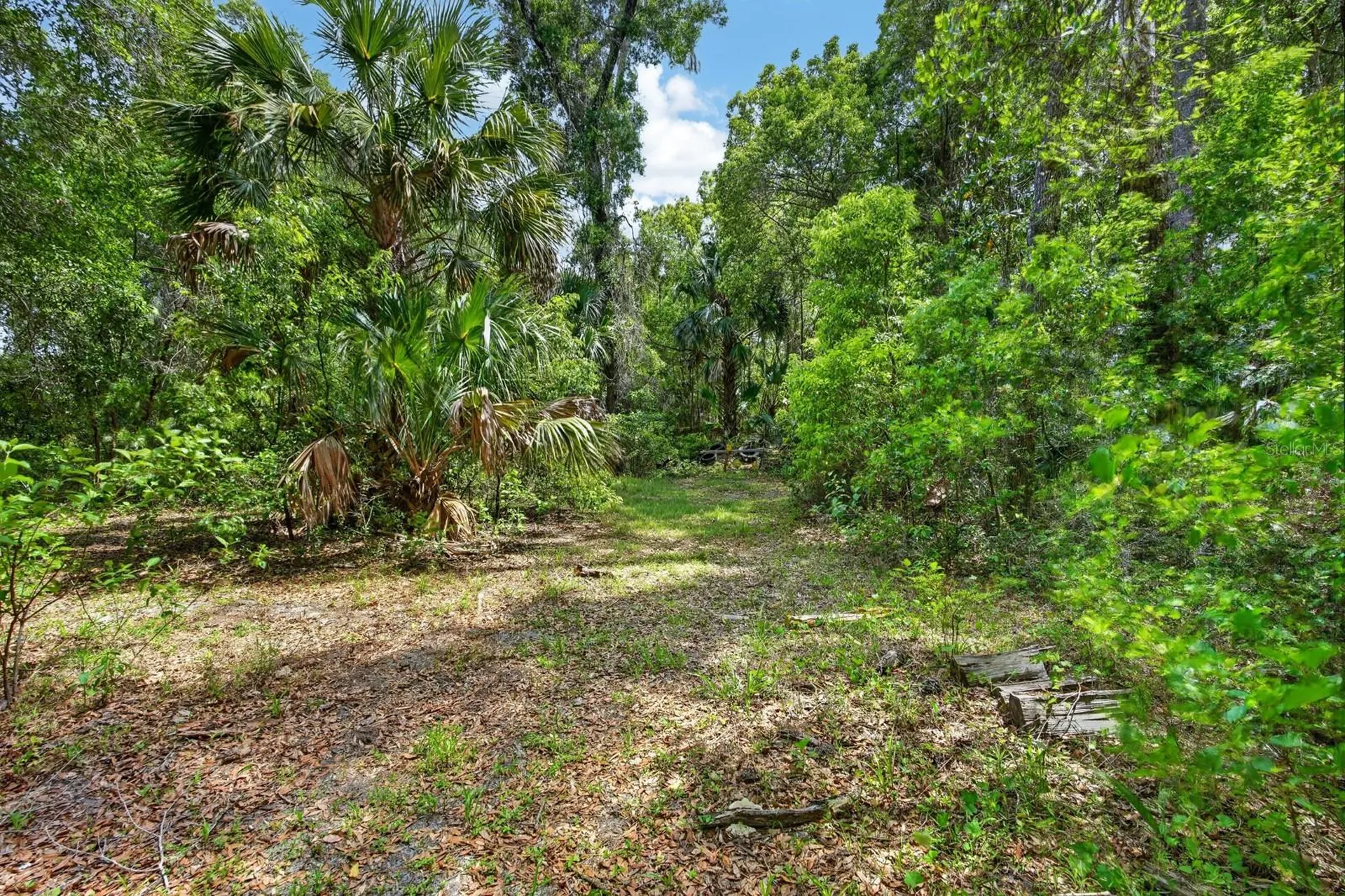 1806 Glenwood Oaks Lane Deland FL 32720