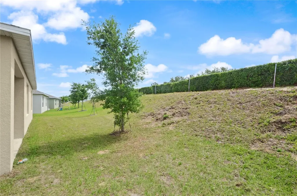 3235 Blue Crab Drive Tavares FL 32778