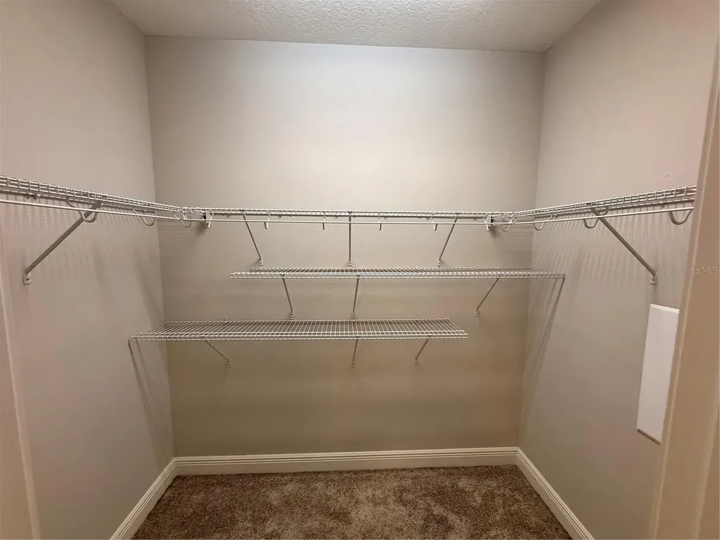 15465 Honeybell Drive Winter Garden FL 34787