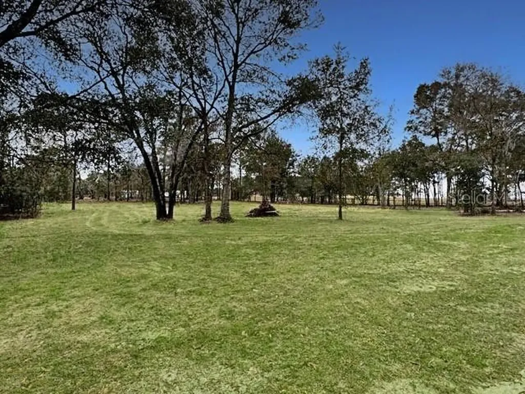 Tbd SE 148th Terrace Morriston FL 32668