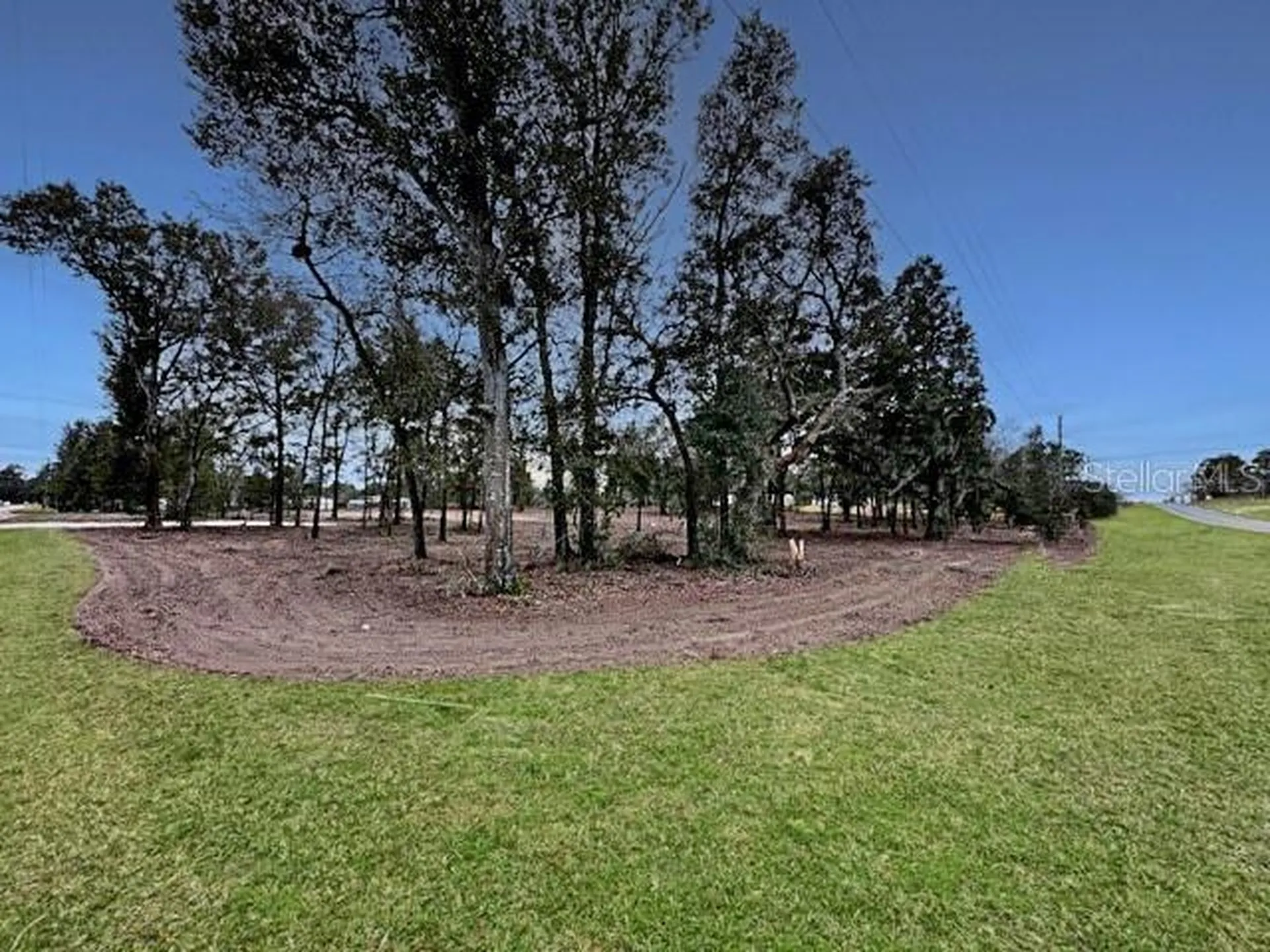 Tbd SE 148th Terrace Morriston FL 32668