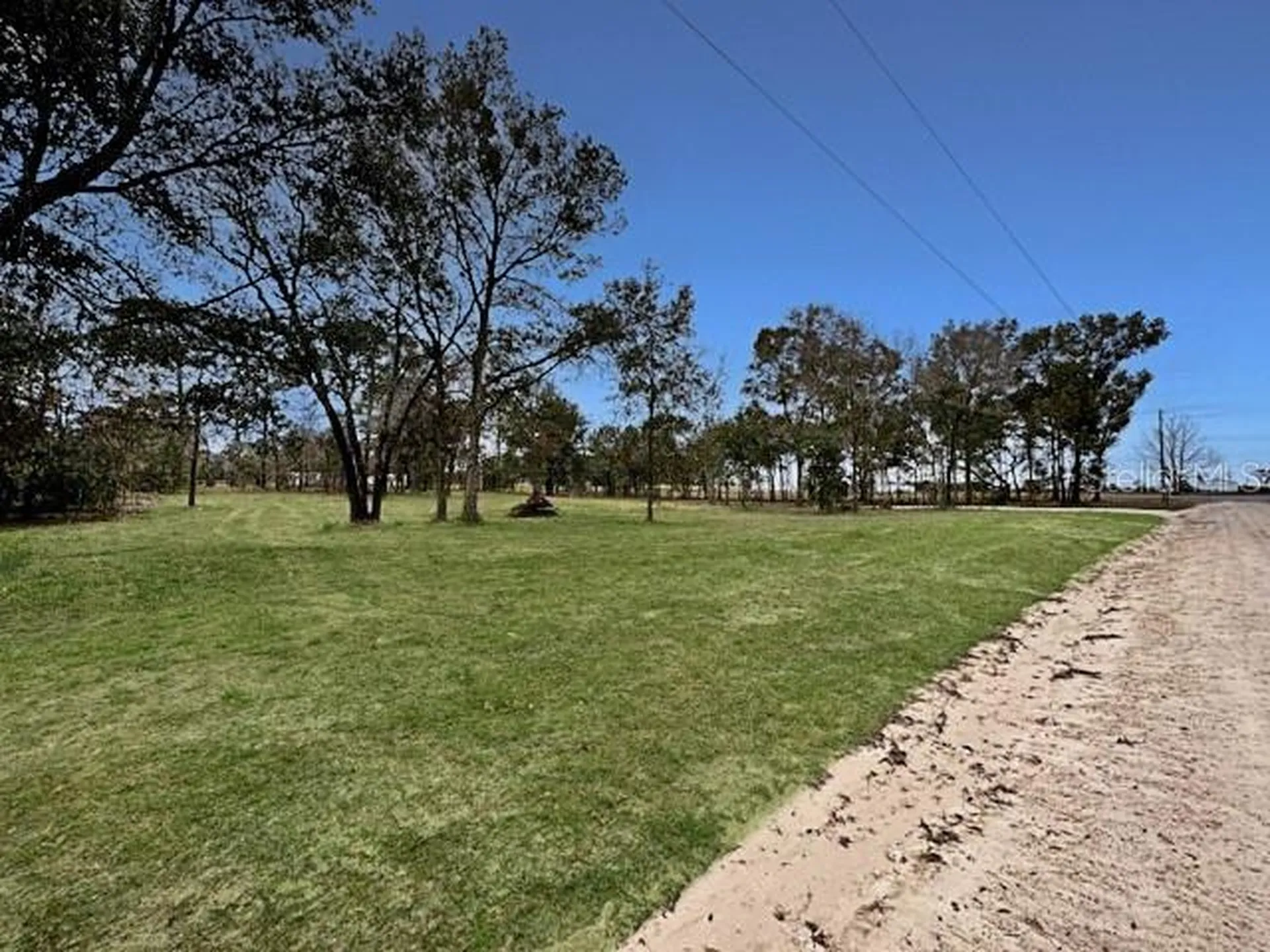 Tbd SE 148th Terrace Morriston FL 32668