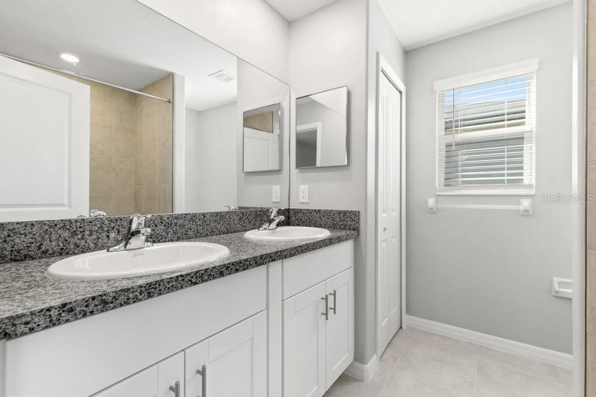 4436 Globe Thistle Drive Tampa FL 33619