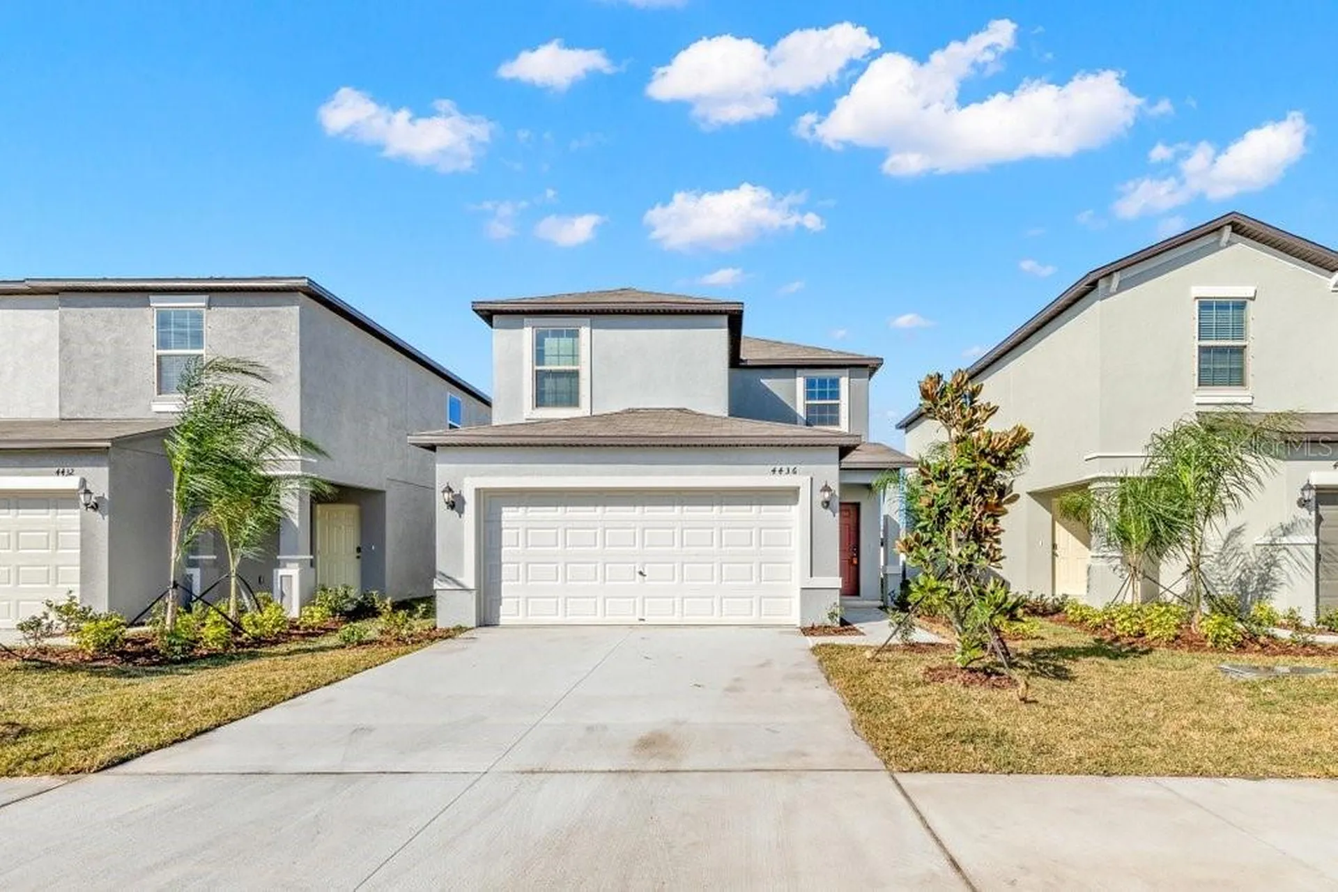 4436 Globe Thistle Drive Tampa FL 33619