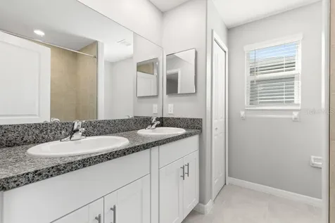 4436 Globe Thistle Drive Tampa FL 33619