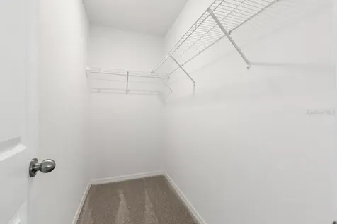 4436 Globe Thistle Drive Tampa FL 33619