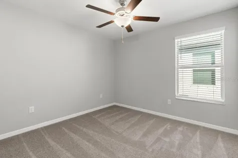 4436 Globe Thistle Drive Tampa FL 33619