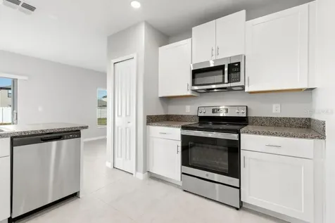 4436 Globe Thistle Drive Tampa FL 33619