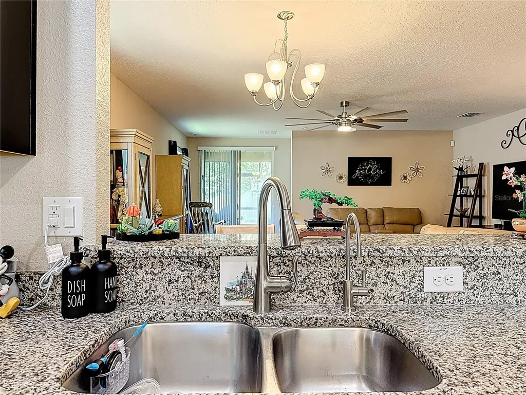 3631 Black Dog Court Tavares FL 32778