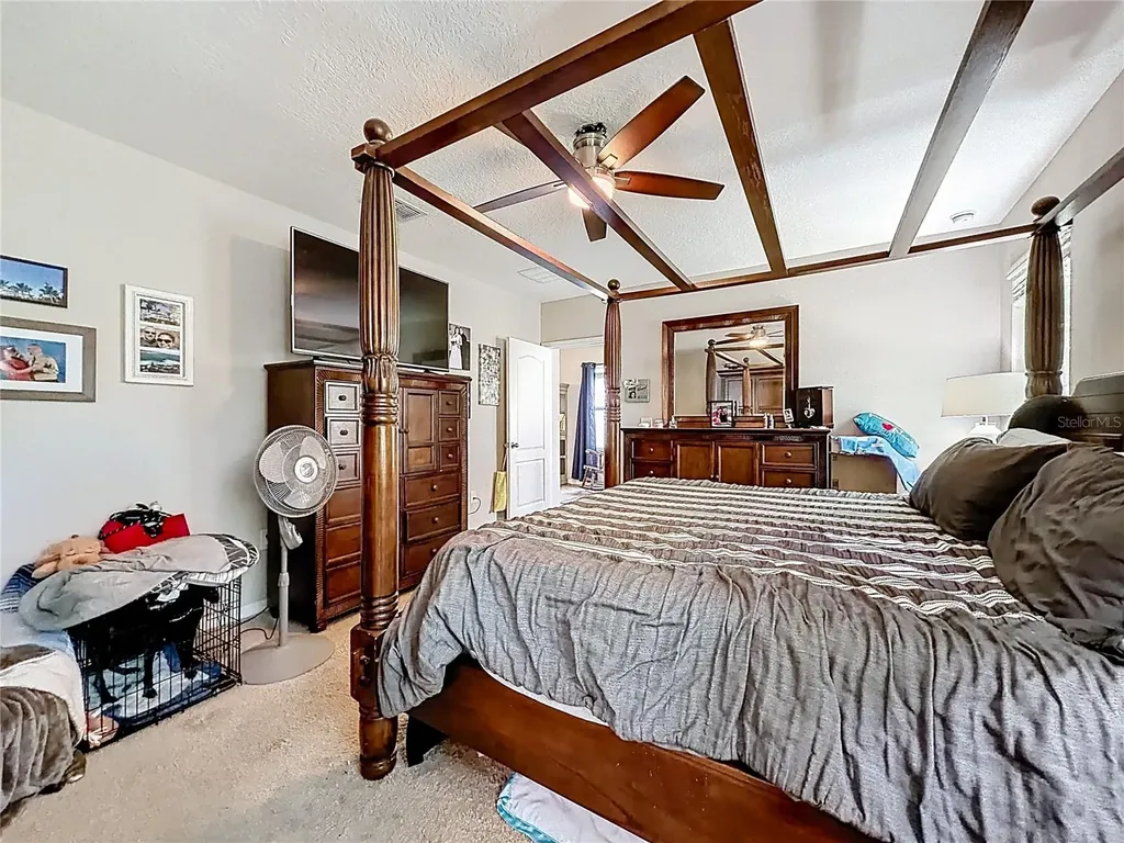 3631 Black Dog Court Tavares FL 32778