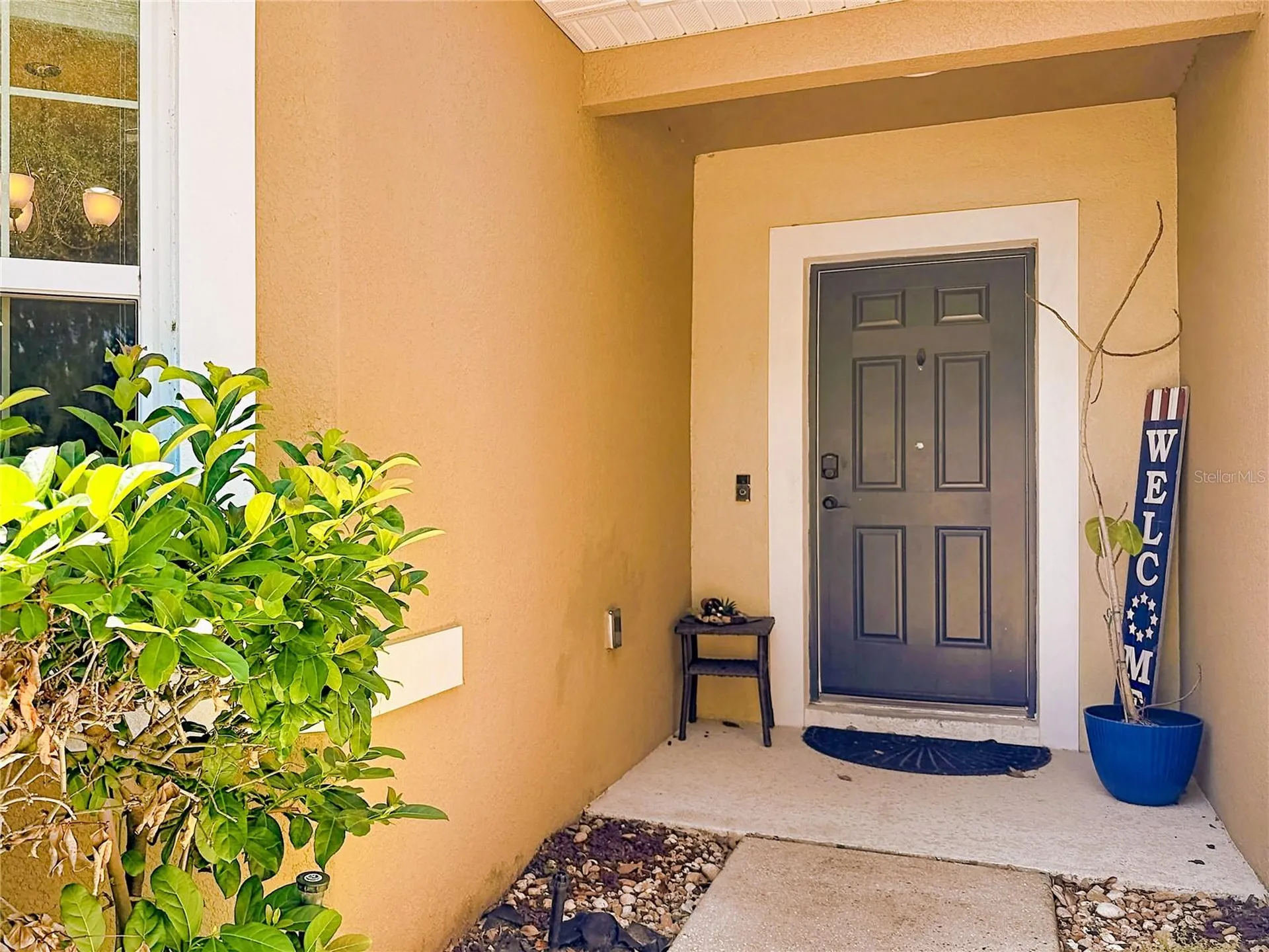 3631 Black Dog Court Tavares FL 32778