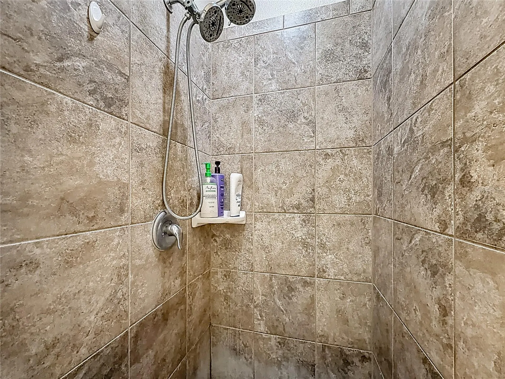 3631 Black Dog Court Tavares FL 32778
