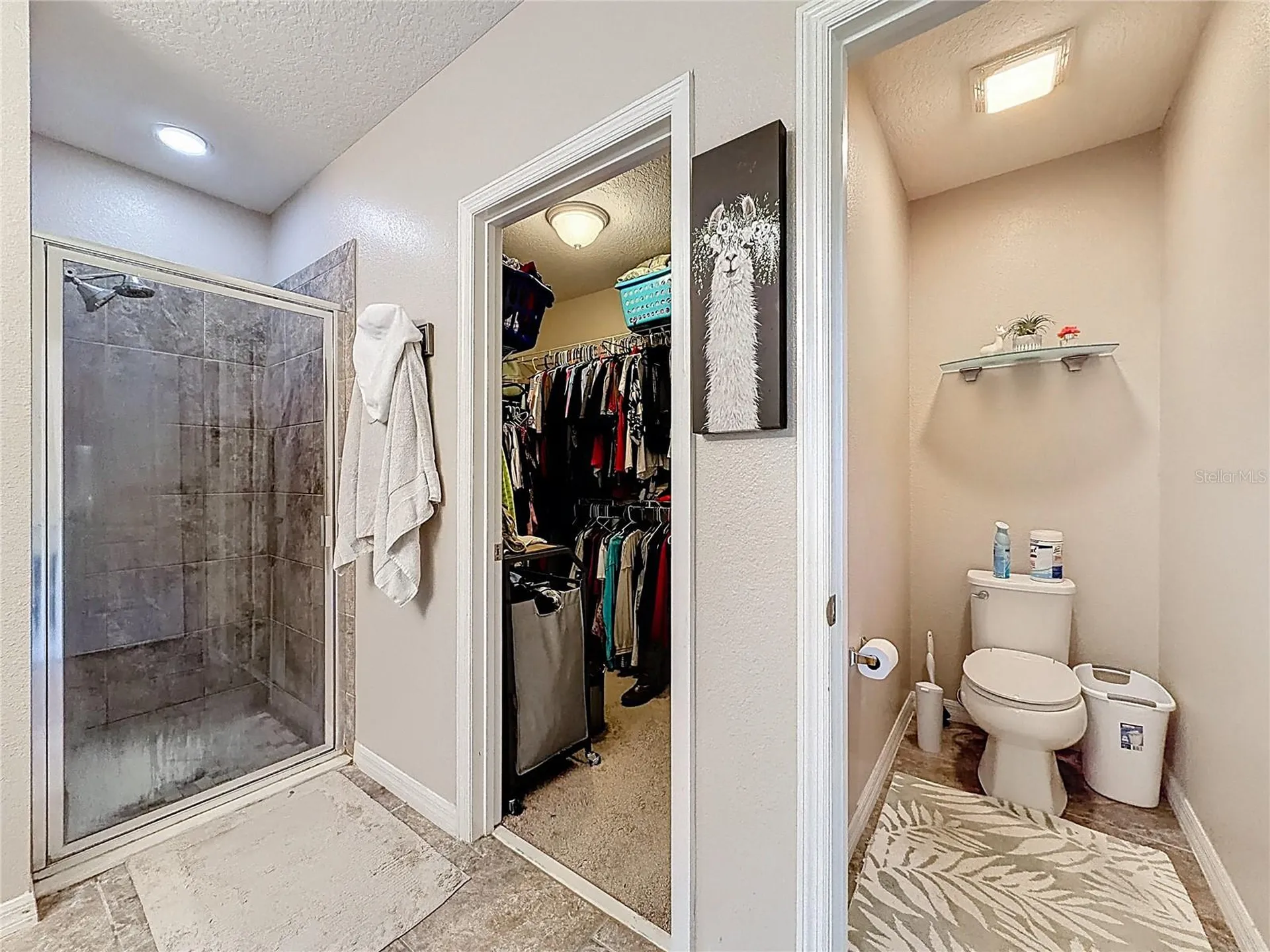 3631 Black Dog Court Tavares FL 32778