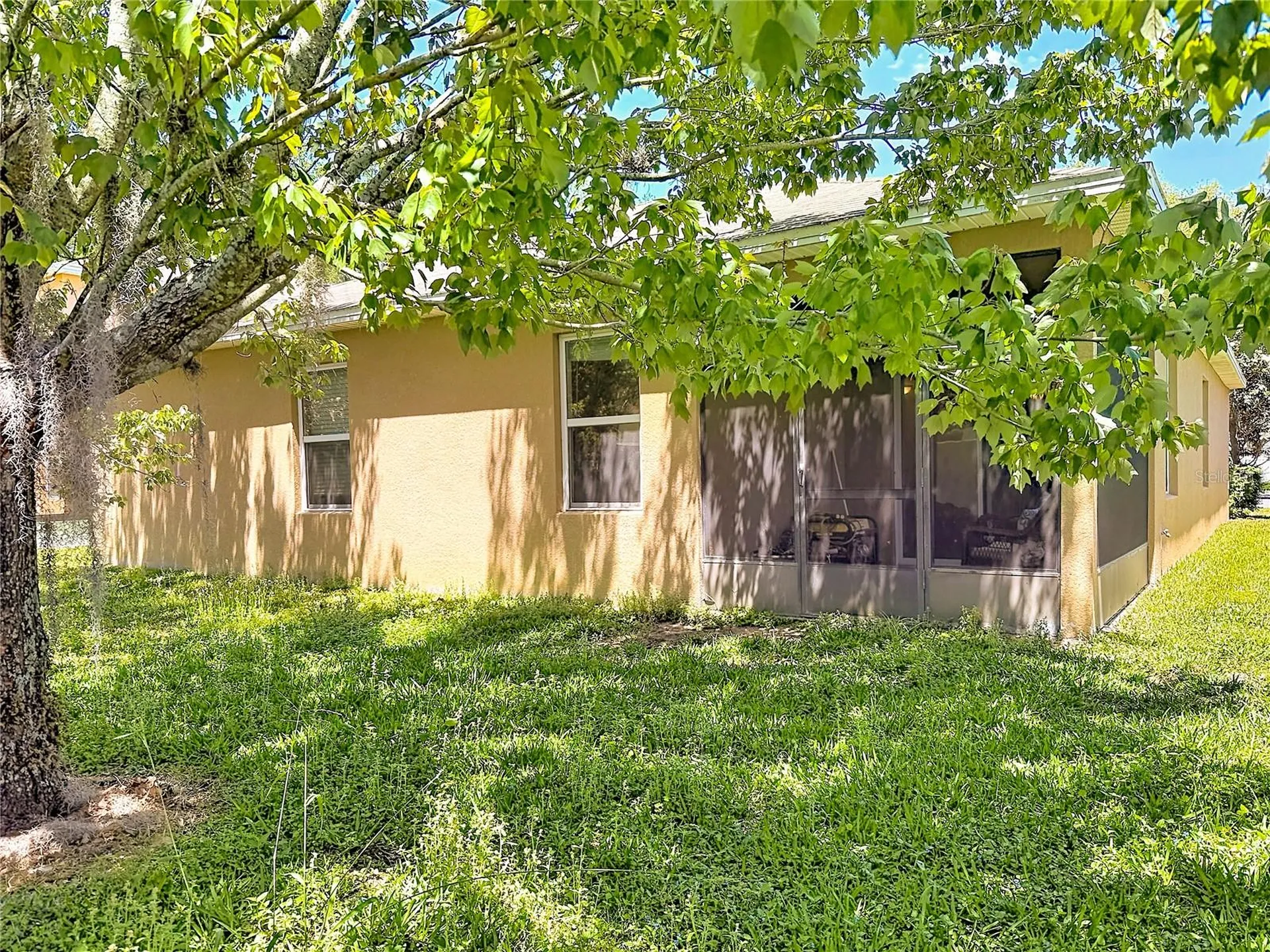 3631 Black Dog Court Tavares FL 32778
