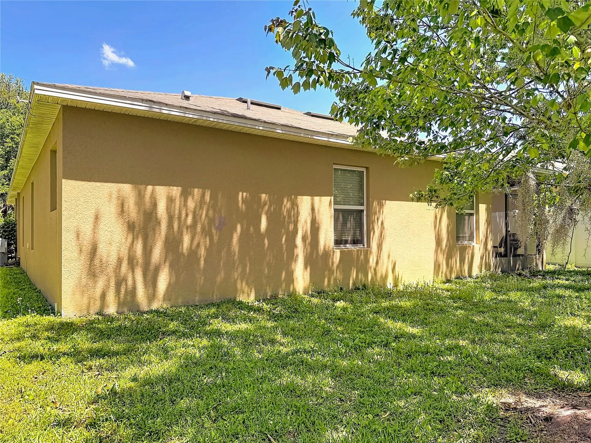 3631 Black Dog Court Tavares FL 32778