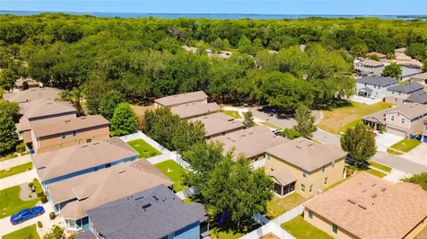 3631 Black Dog Court Tavares FL 32778