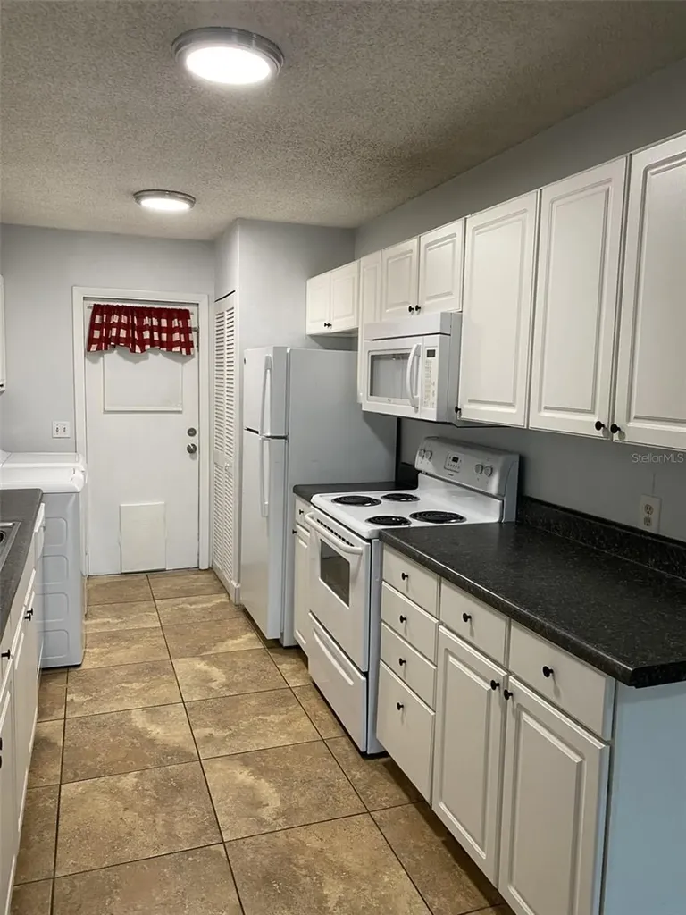 12310 Tavares Ridge Court Tavares FL 32778