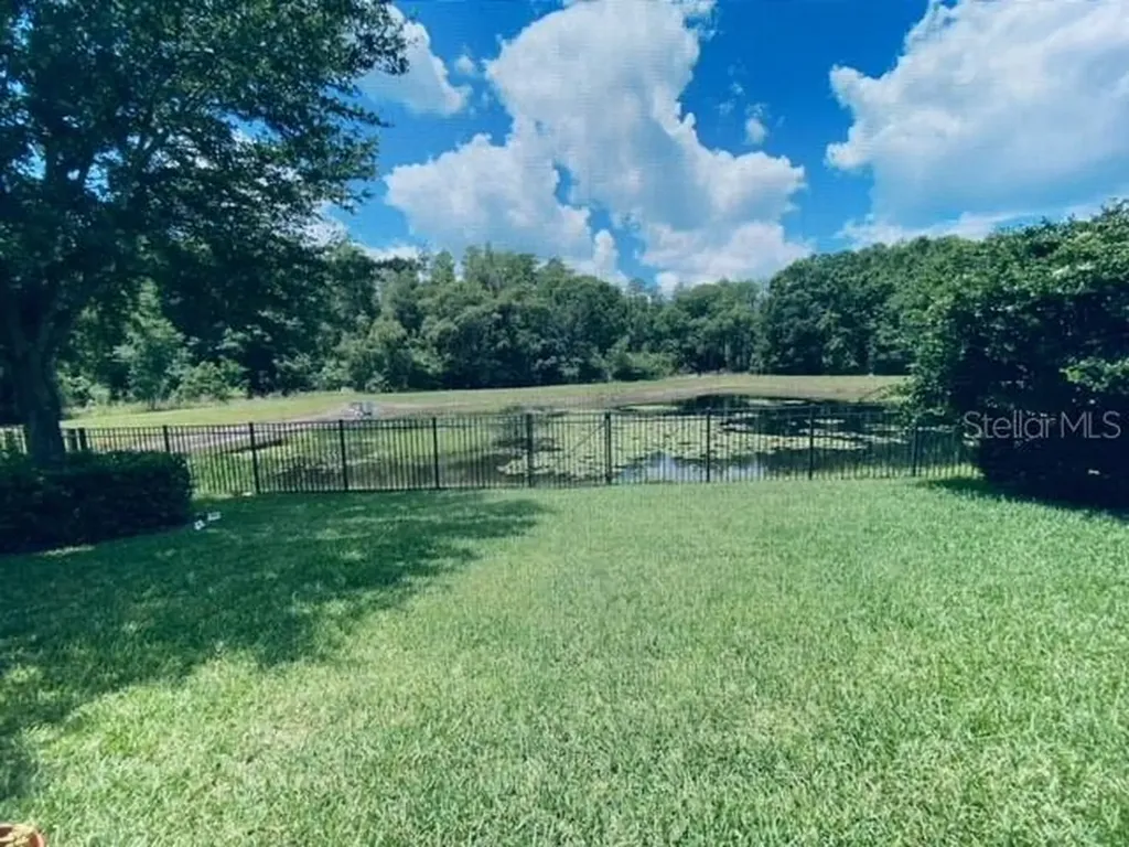 3124 Majestic View Drive Lutz FL 33558