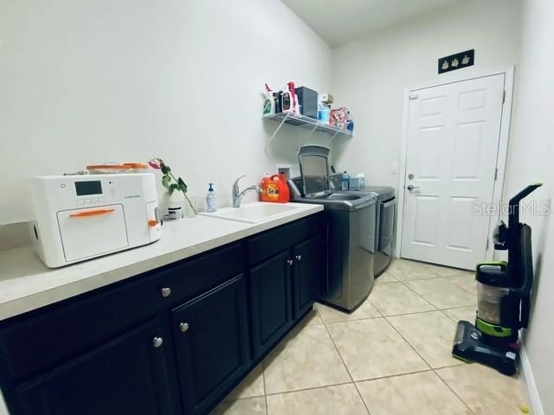 3124 Majestic View Drive Lutz FL 33558