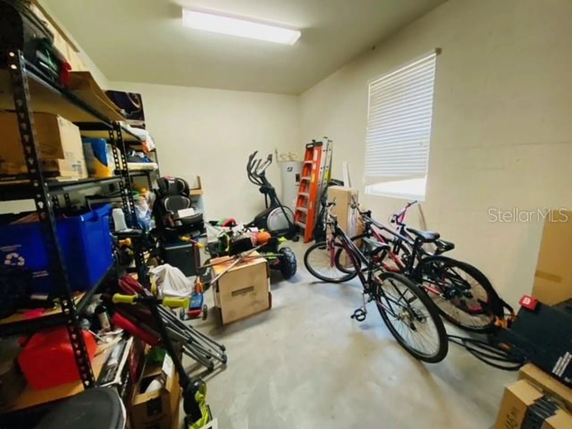 3124 Majestic View Drive Lutz FL 33558