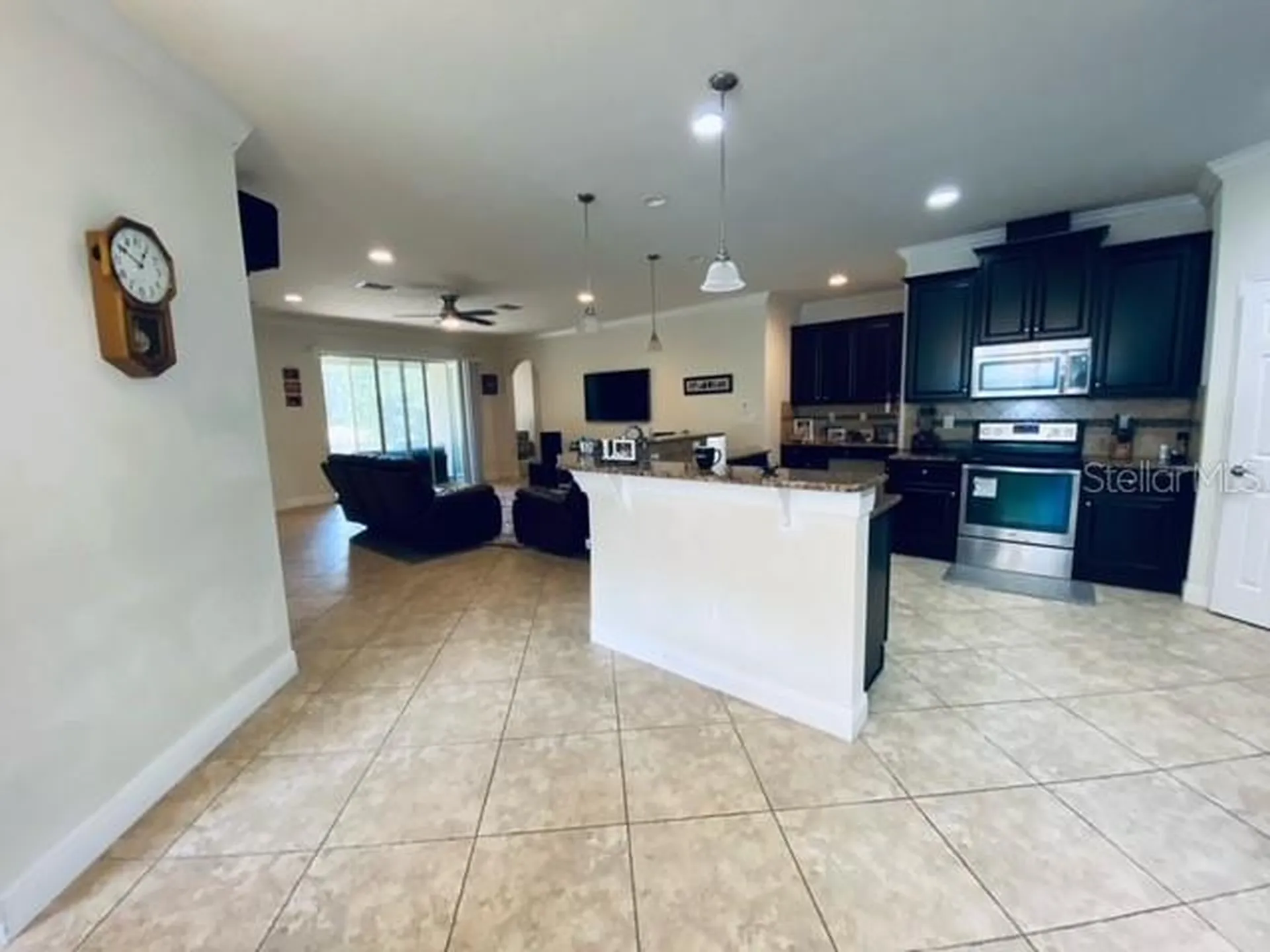 3124 Majestic View Drive Lutz FL 33558