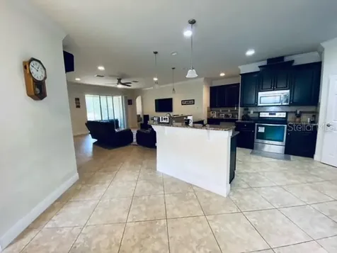 3124 Majestic View Drive Lutz FL 33558