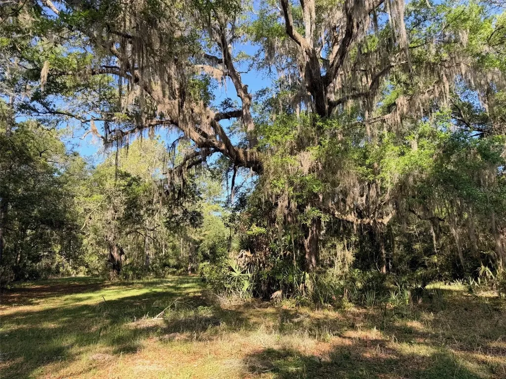6650 NW 110th Avenue Chiefland FL 32626