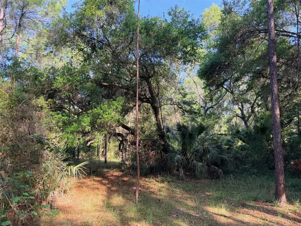6650 NW 110th Avenue Chiefland FL 32626