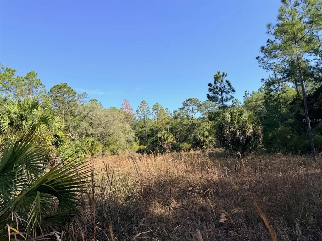 6650 NW 110th Avenue Chiefland FL 32626