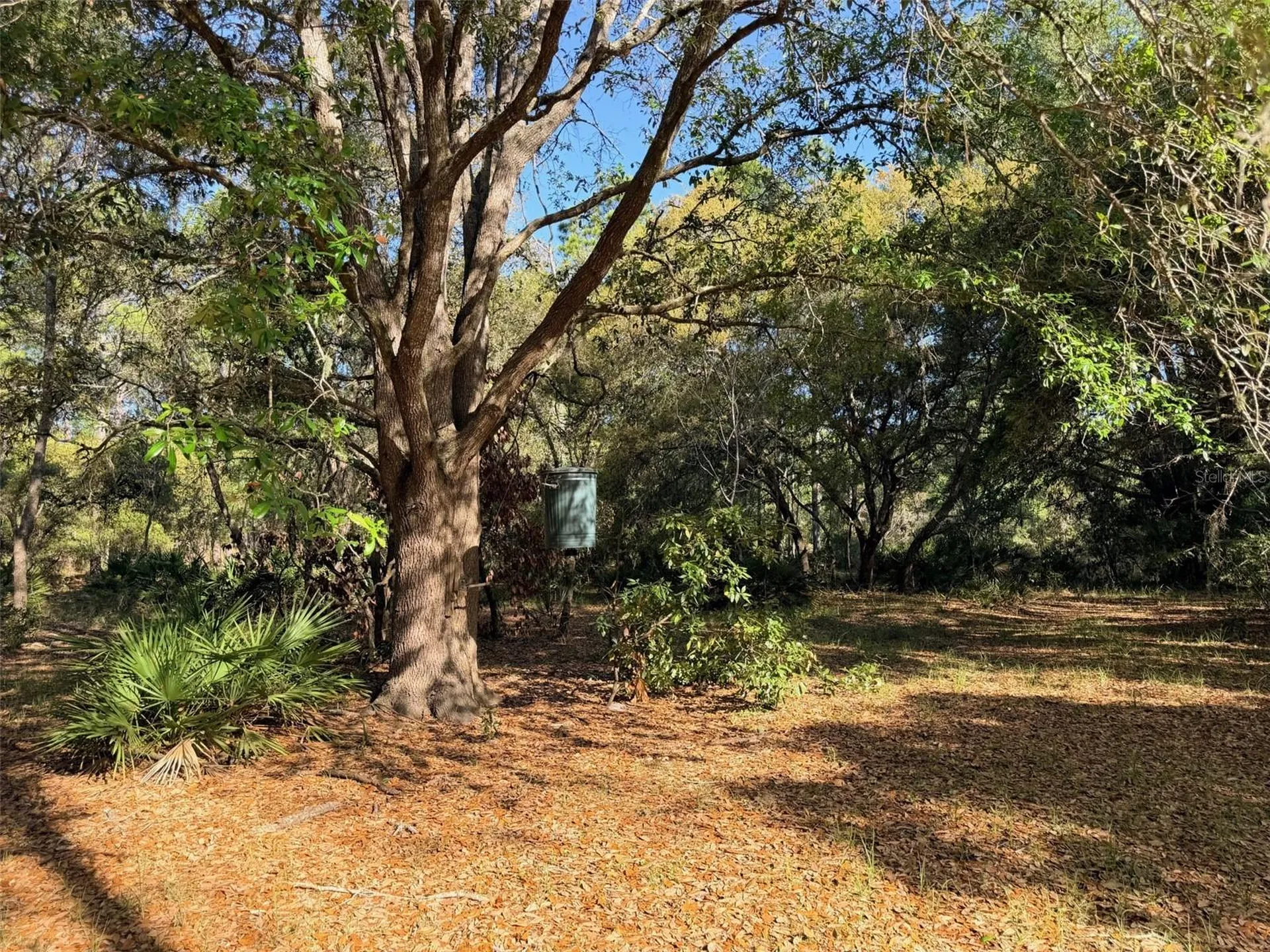 6650 NW 110th Avenue Chiefland FL 32626