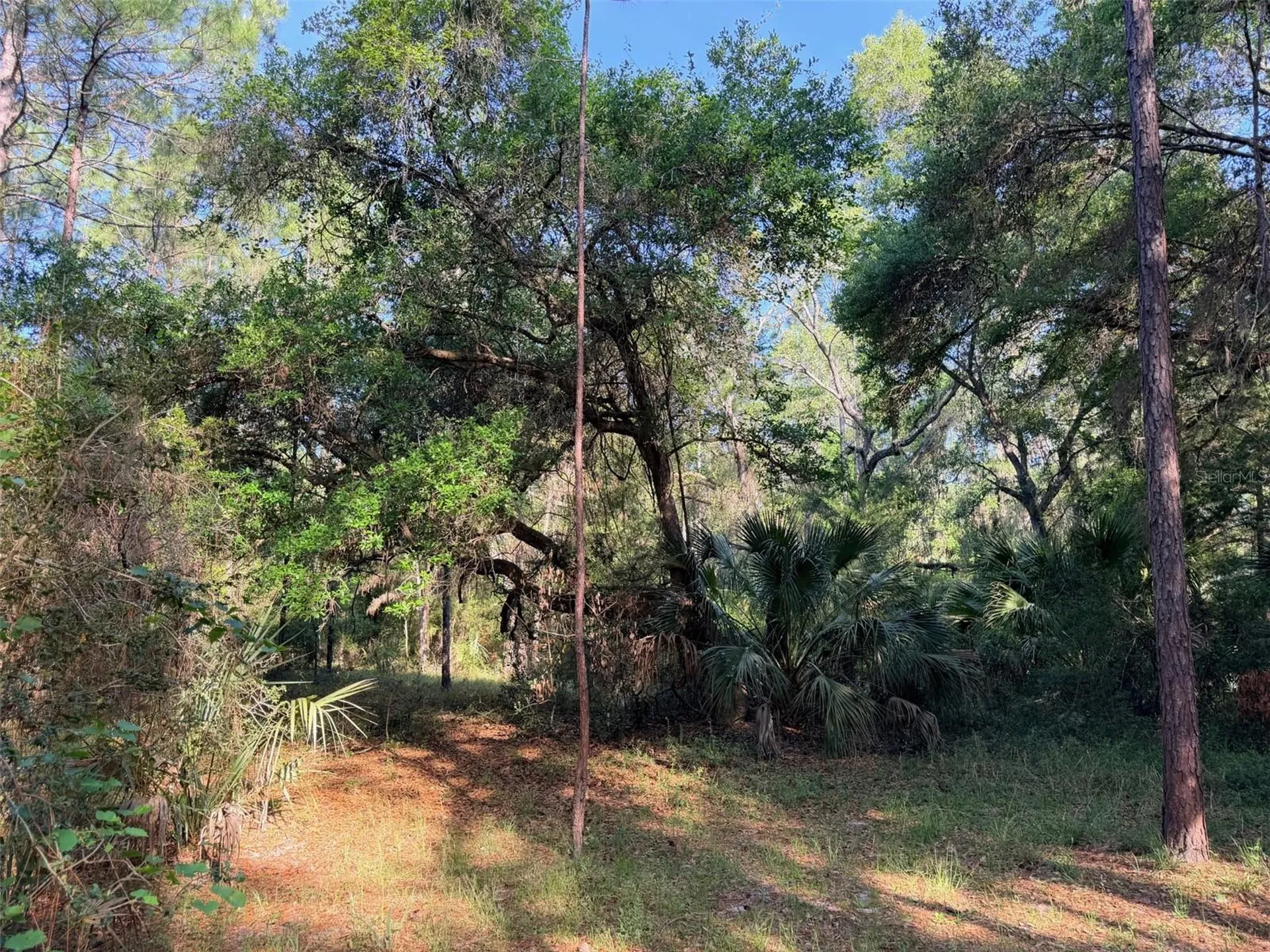 6650 NW 110th Avenue Chiefland FL 32626