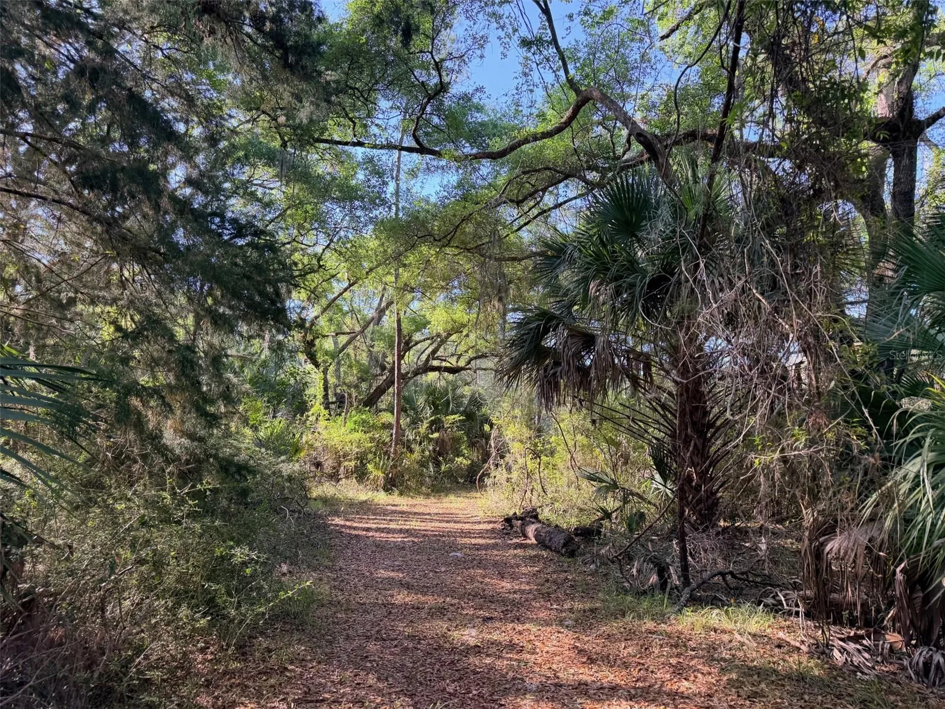 6650 NW 110th Avenue Chiefland FL 32626