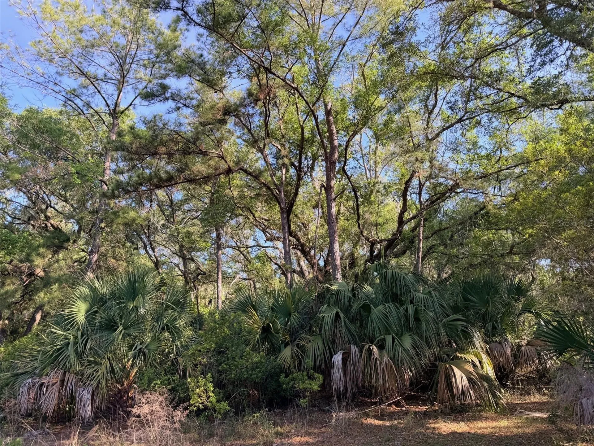 6650 NW 110th Avenue Chiefland FL 32626