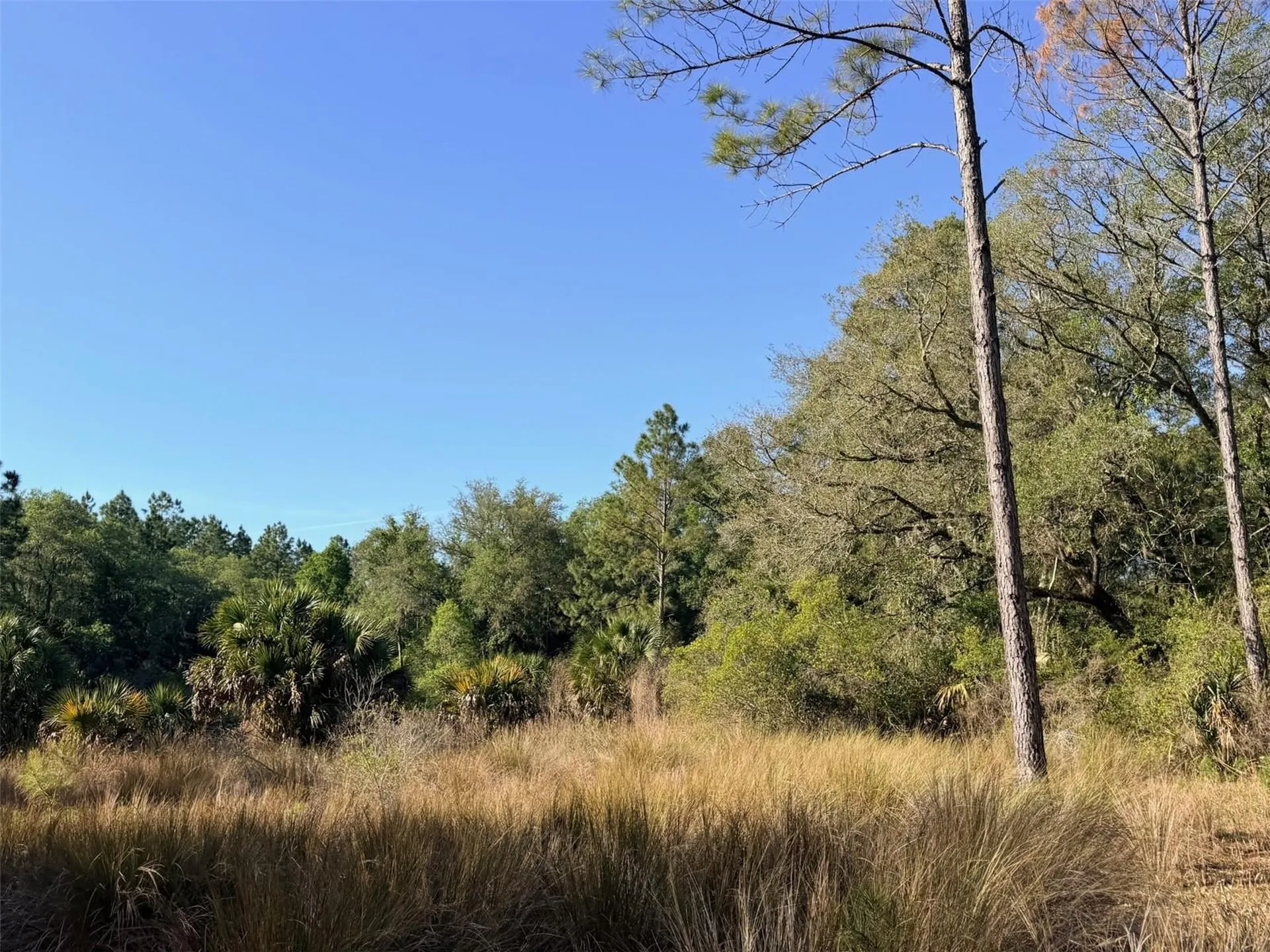 6650 NW 110th Avenue Chiefland FL 32626