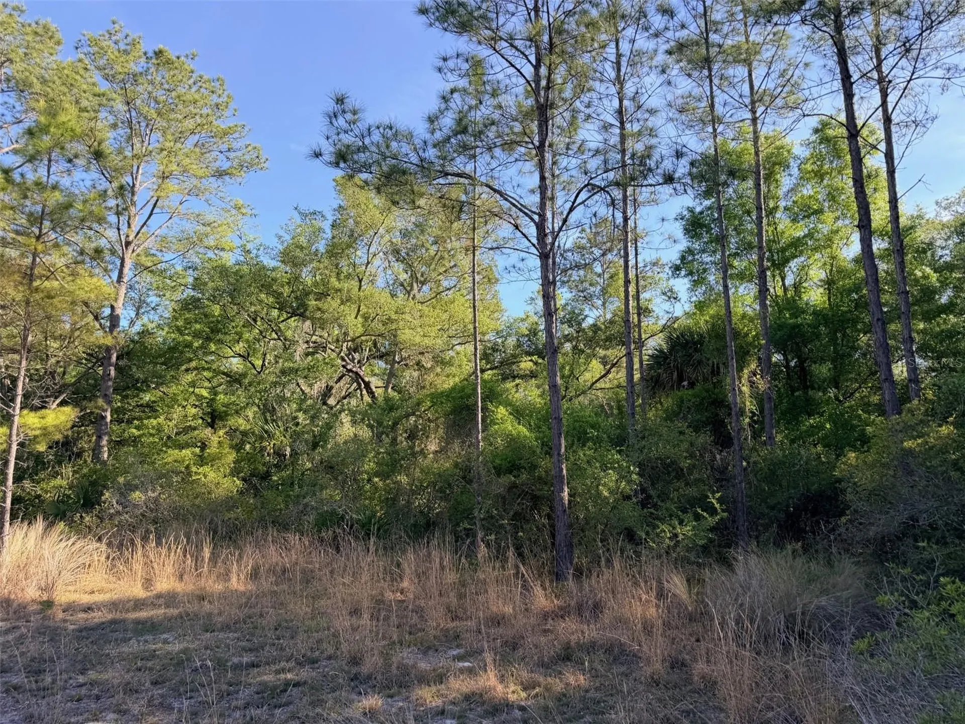 6650 NW 110th Avenue Chiefland FL 32626
