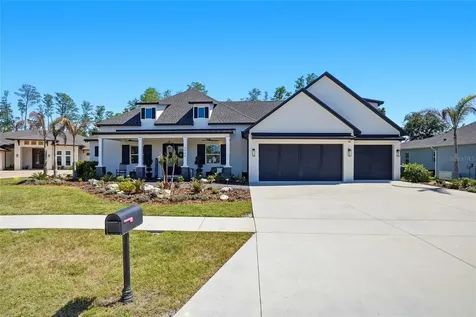 3944 Cove Lake Place Land O Lakes FL 34639