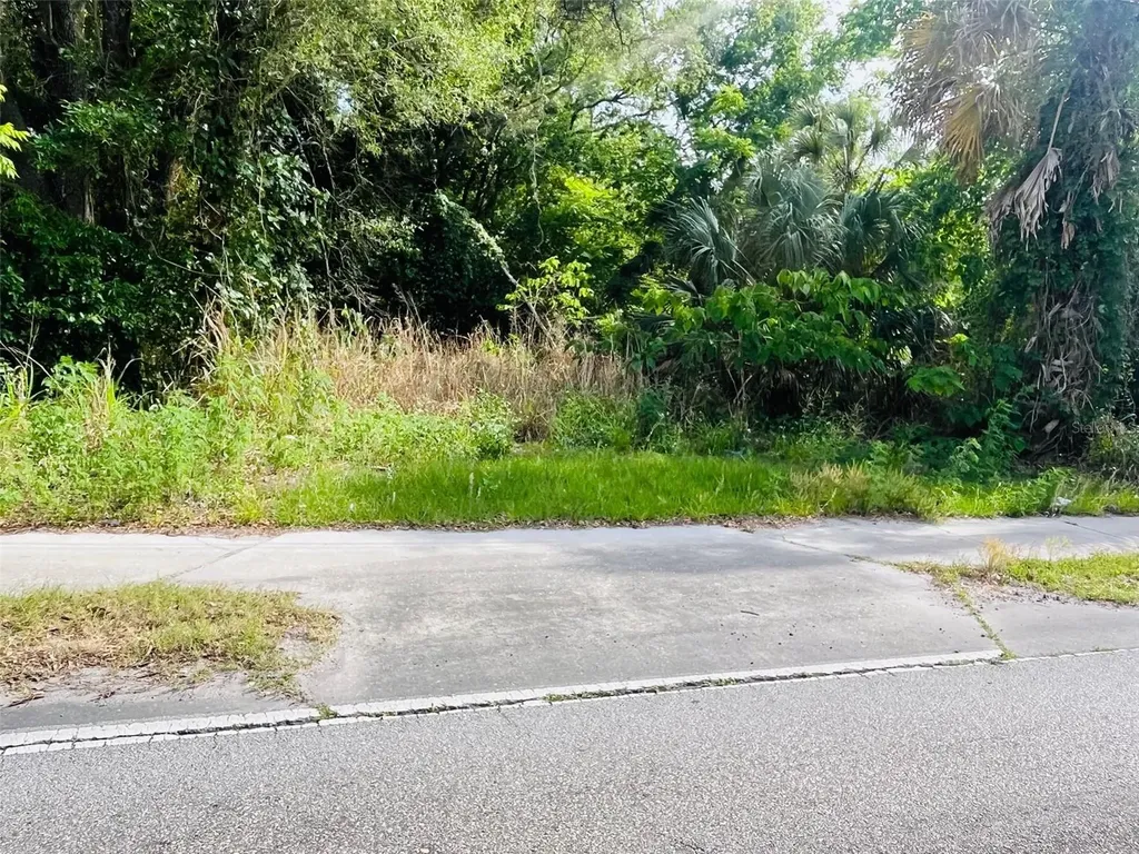 Tbd Celery Avenue Sanford FL 32771