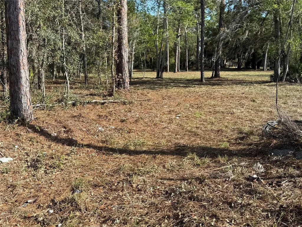 6479 W Holiday Street Homosassa FL 34446