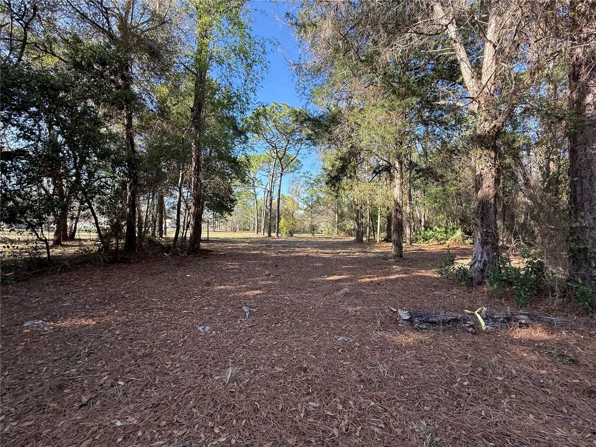 6479 W Holiday Street Homosassa FL 34446