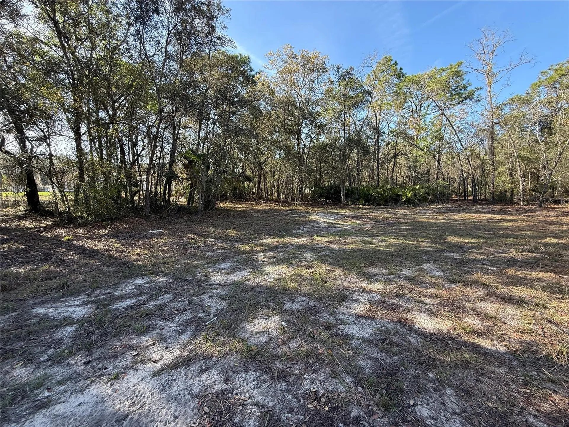 6479 W Holiday Street Homosassa FL 34446