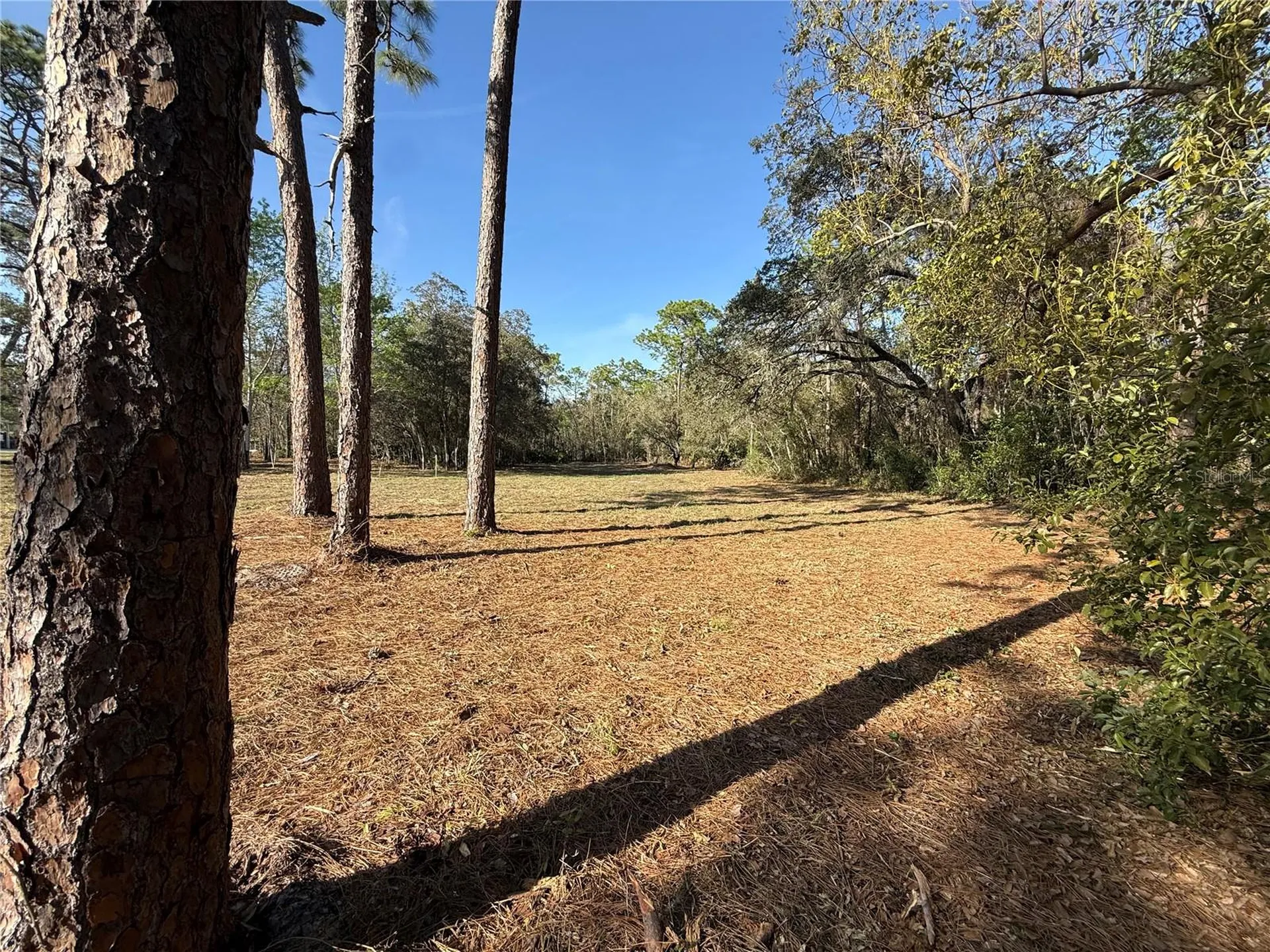 6479 W Holiday Street Homosassa FL 34446