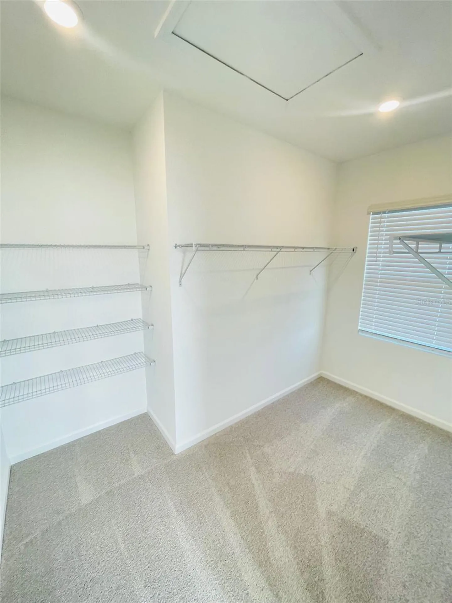 7333 Ivy Tendril Avenue Orlando FL 32829